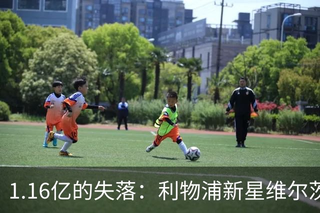 1.16亿的失落：利物浦新星维尔茨的迷失之旅
